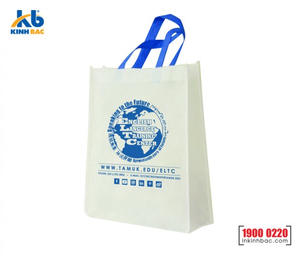 Túi vải hình hộp có hông - TCH42