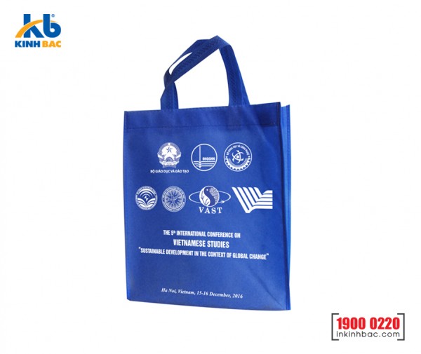 Túi vải hình hộp có hông - TCH12