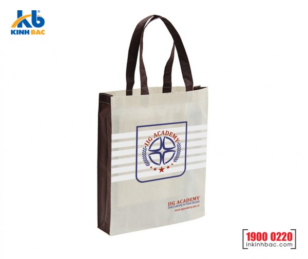 Túi vải hình hộp có hông - TCH25
